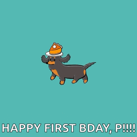 Stefanies Hank Dachshund GIF