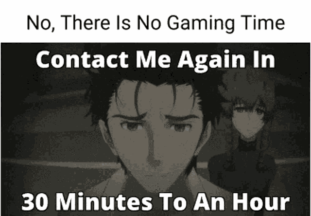 Steinsgate Gaming Time GIF