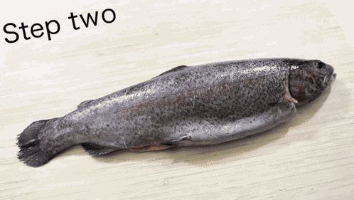 Step Two Cook The Fish Oven GIF
