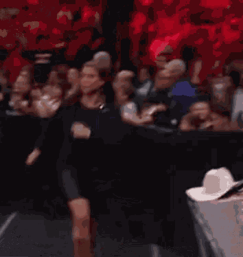 Stephanie Mcmahon Wwe GIF