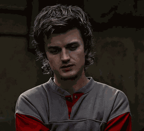Steve Harrington Stranger Things GIF