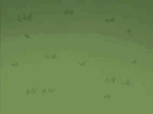 Stewie Brian GIF