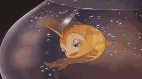 Stillesque GIF