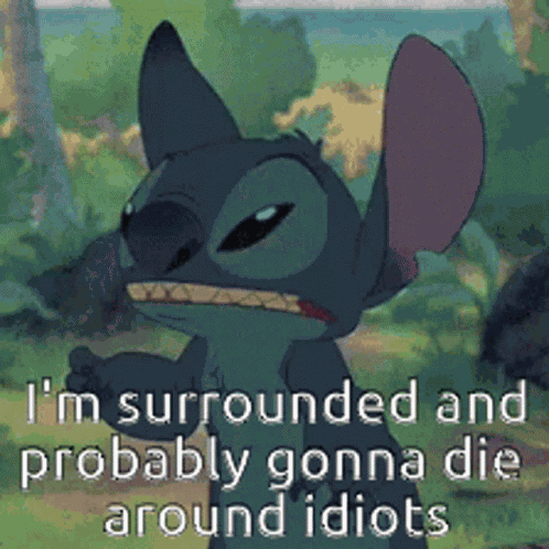 Stitch Idiots GIF