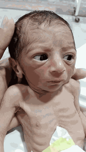 Stleed Baby GIF
