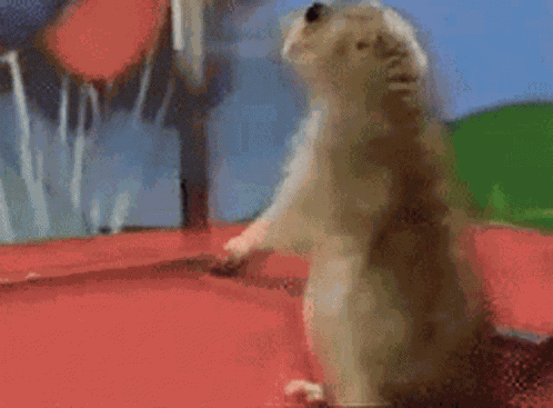 Stokbrood GIF
