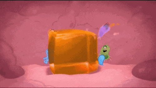 Stomach Digestion GIF