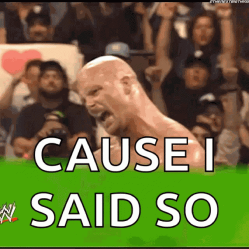Stone Cold Steve Austin GIF