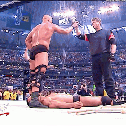 Stone Cold Steve Austin Toast GIF