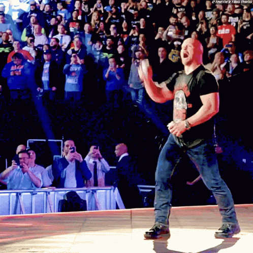 Stone Cold Steve Austin Wwe GIF