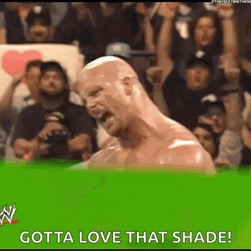 Stone Cold Steve Austin Wwe GIF