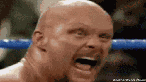 Stone Cold Steve Austin Wwf GIF