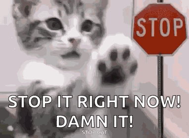 Stop Funnyanimal GIF