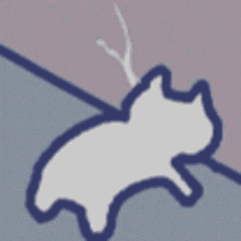 Stop Talking Cat Wall GIF