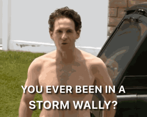 Storm Wally GIF