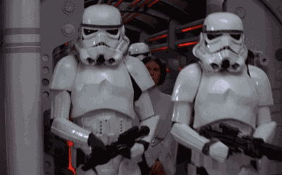 Stormtroopers Princess Leia GIF