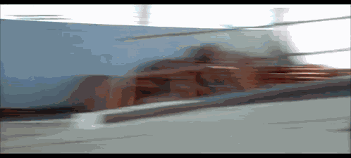 Strange Gaze Haha Gaze GIF