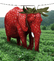 Strawberry Elephant Sticker