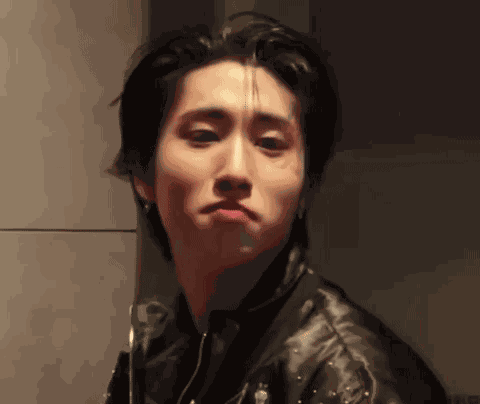 Stray Kids Han Han Ji GIF