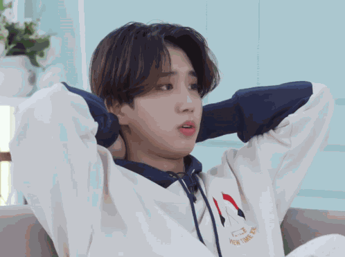 Stray Kids Han Jisung GIF