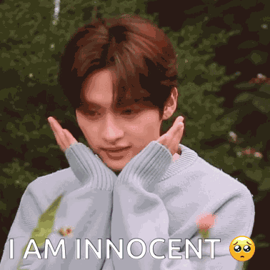 Stray Kids Innocent Skz Innocent GIF