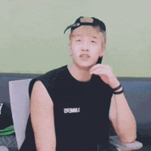 Stray Kids GIF