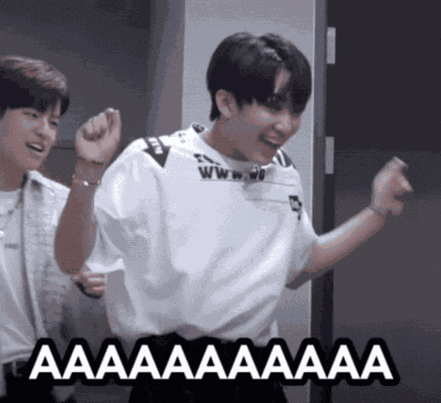 Stray Kids Skz GIF