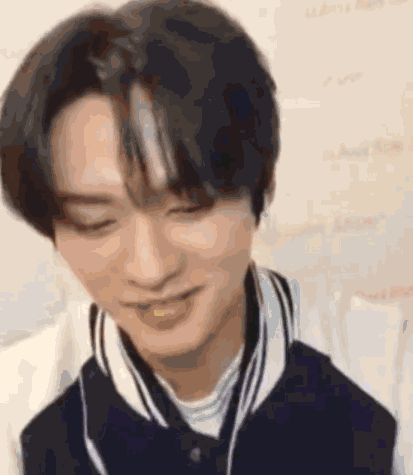 Stray Kids Skz GIF