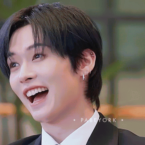Stray Kids Skz GIF