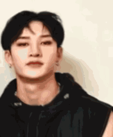 Stray Kids Skz GIF