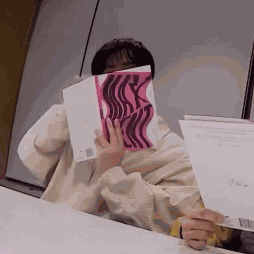 Stray Kids Skz GIF