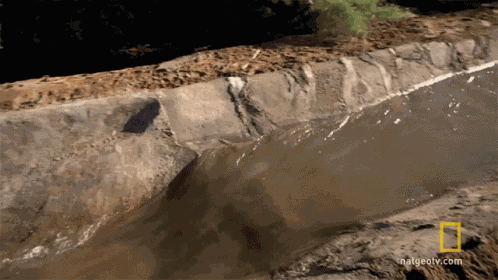 Stream Brook GIF