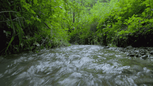 Stream Water GIF