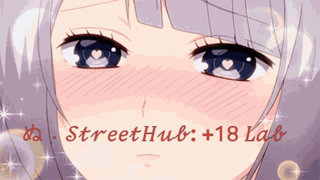 Streethub GIF
