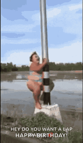 Stripper Pole Dancing GIF