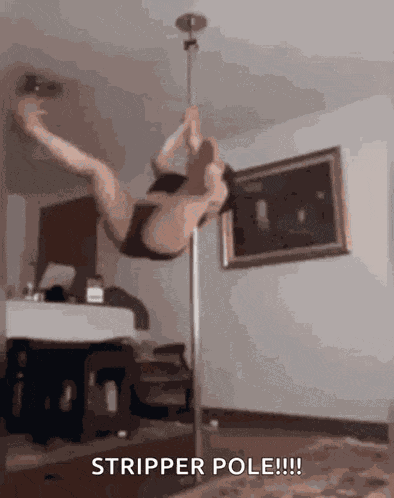 Stripper Pole GIF