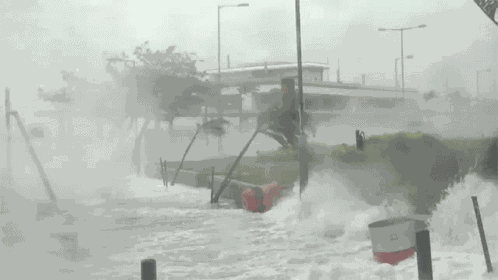 Strong Waves World Meteorological Day GIF