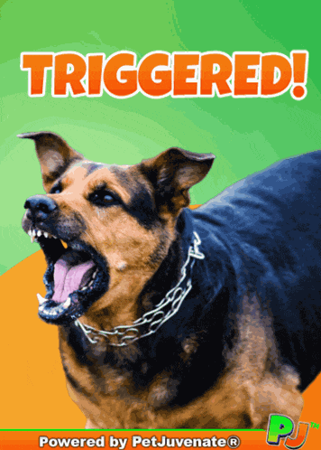 Ststus Triggered GIF