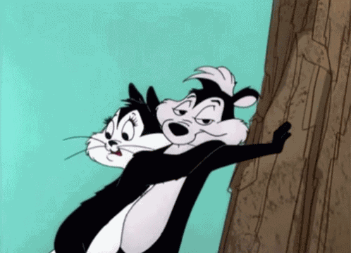 Stuck Up Cat GIF