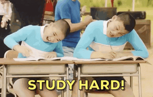 Study Study Hard GIF