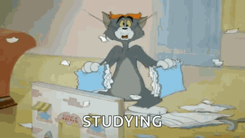 Study Studying GIF