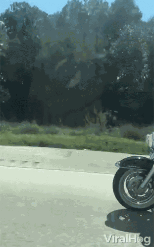 Stunt Motorcycle GIF