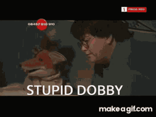 Stupid Dobby GIF