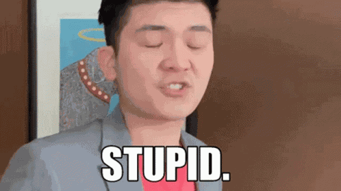 Stupid Idiot Stupid GIF