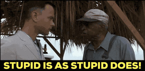 Stupid Is As Stupid Does Stupid People GIF
