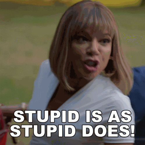 Stupid Is As Stupid Does Tasha Mack GIF