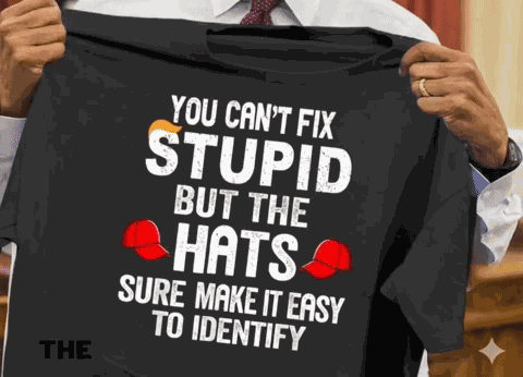 Stupid GIF