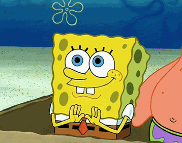 Stupid Stupidity GIF