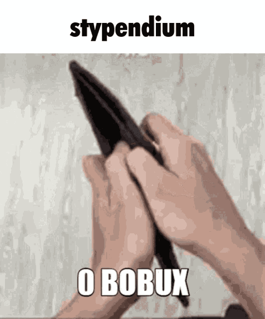 Stypendium Smieszne GIF