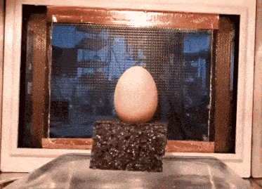 Styropyro Egg GIF